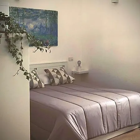 B&B Satyria